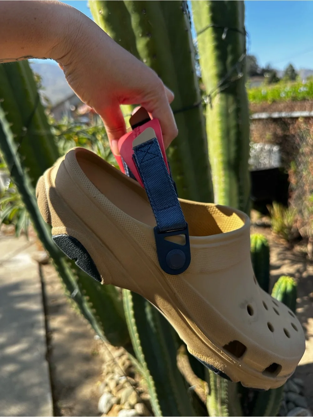 CROCS Classic Clog Sandal in Tan with Red & Blue  Strap Men’s #13